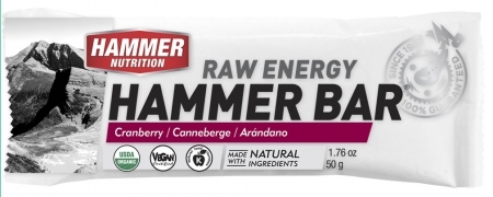 Hammer Nutrition Bar 50g