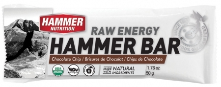 Hammer Nutrition Bar 50g