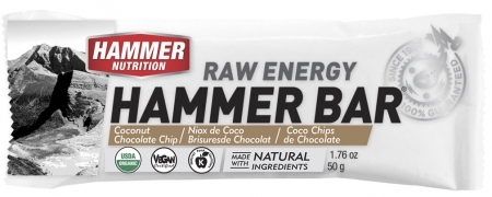 Hammer Nutrition Bar 50g